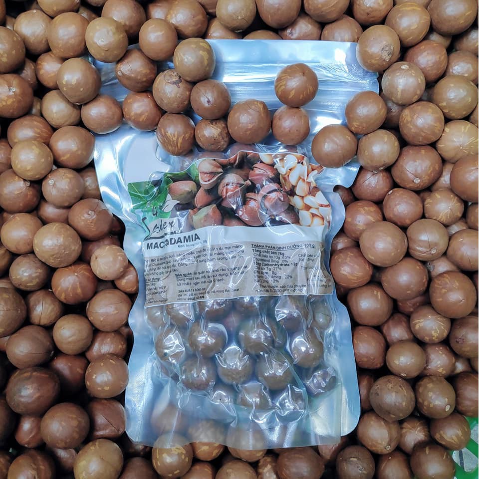 Hạt Mắc ca ( Macadamia) Đắk Lắk 1000gr