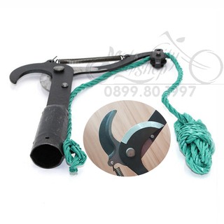 Đầu kéo cắt cành cây trên cao, tỉa cây cảnh tiện dụng