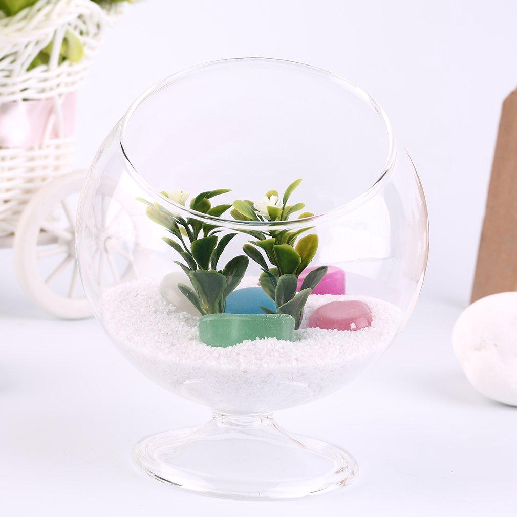 Bể Cá Thủy Tinh Hình Tròn Trang Trí Nội Thất