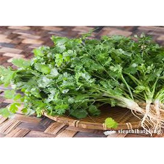 Hạt giống rau mùi tía (20G)