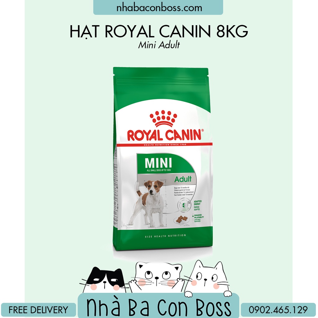 Thức ăn chó Royal Canin MINI ADULT 8kg
