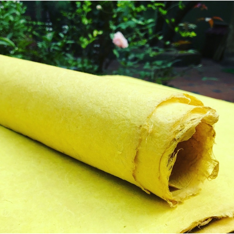Giấy Dó truyền thống màu hoàng đằng nghệ 40x60cm- Natural dyed handmade paper
