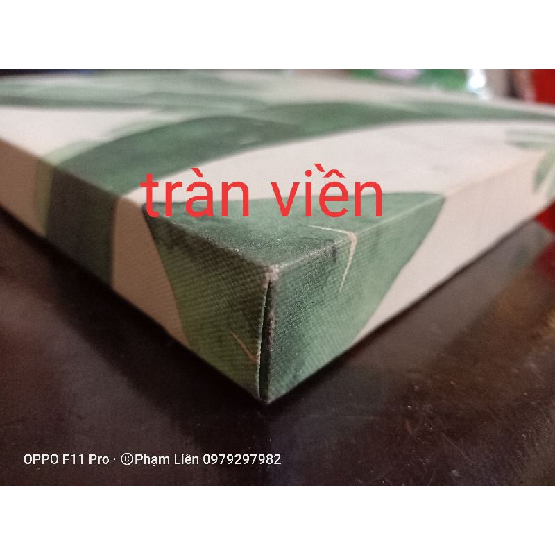 Tranh canvas flower 60x60 kèm khung nhựa composite 2 cm khách có thể thay đổi màu khung và kích thước