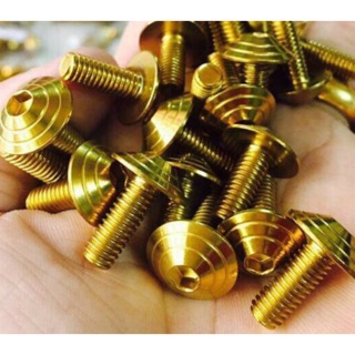 Ốc gắn mão winner x gắn đồng hồ winner x vàng titan GIÁ 1 CON