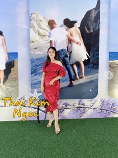 Đầm dự tiệc lệch vai phi bèo cài châm