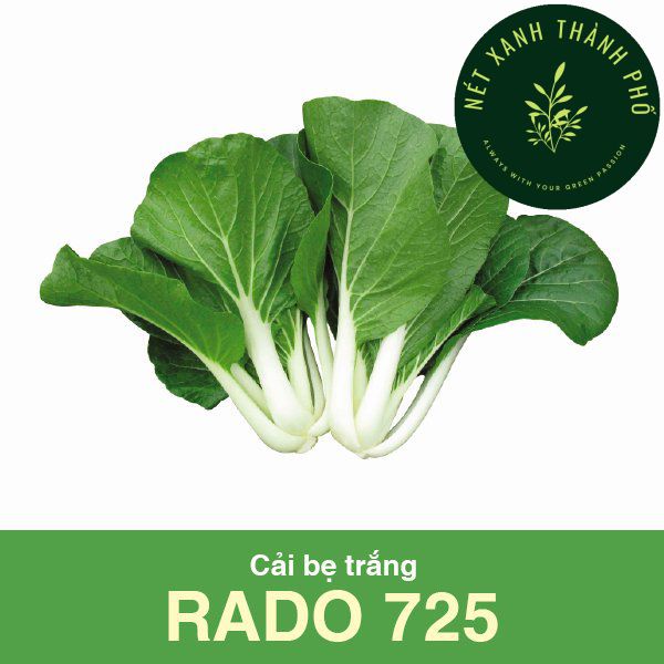 Hạt giống cải bẹ trắng, 20gr, cây sinh trưởng mạnh, trồng quanh năm