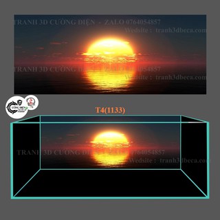 Tranh dán hồ cá thuỷ sinh ,có keo sẵn, nhiều kích thướt chọn lựa