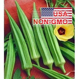 5Gr Hạt Giống Đậu Bắp Lùn Cao Sản Clemson