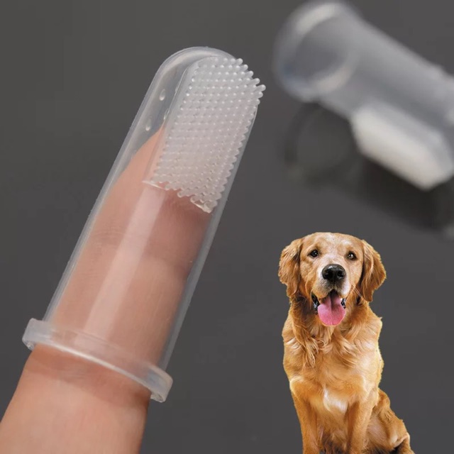 [Mã PET50K giảm Giảm 10% - Tối đa 50K đơn từ 250K] Dụng cụ đánh răng làm sạch miệng thú cưng