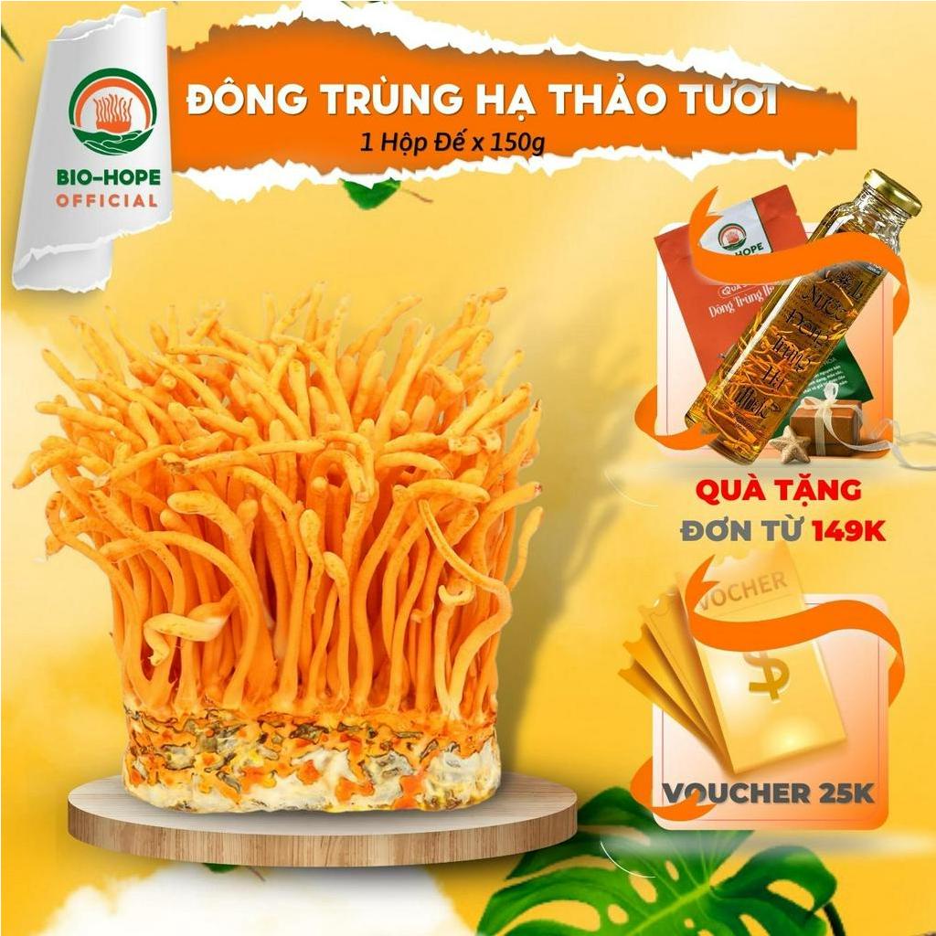 Đông Trùng Hạ Thảo Tươi BIO HOPE Hỗ Trợ Cải Thiện Chức Năng Tim, Gan, Thận, Phổi, Chống Lão Hóa - 150g