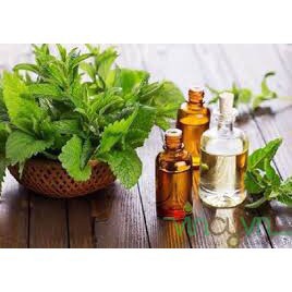 Tinh dầu hương nhu trắng THE LENA Dầu Hương Nhu Dưỡng tóc, xông hơi, xông hương 10ML