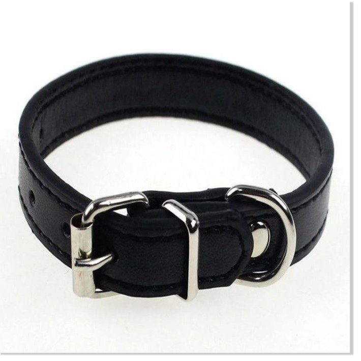 Dây Đeo Cổ Thú Cưng, Dây Da Trơn Đeo Cổ Cho Thú Cưng Loại Vừa AMAZING TTP
