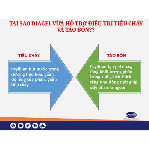 [Mã PET50K giảm Giảm 10% - Tối đa 50K đơn từ 250K] 1 Gói bột DIAGEL 10g hỗ trợ tiêu hóa ở Chó Mèo Pet Thú Cưng