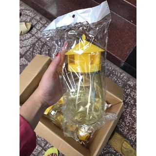 Bẫy Ruồi Vàng và Chất Dẫn Dụ