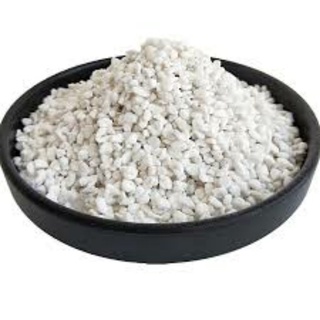 Đá Perlite (Túi 100g)