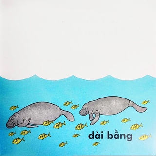 Sách-Cá voi dài bao nhiêu?