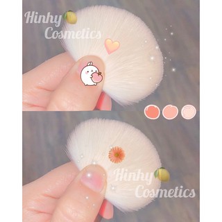 Bộ Cọ 3 Cây Clio