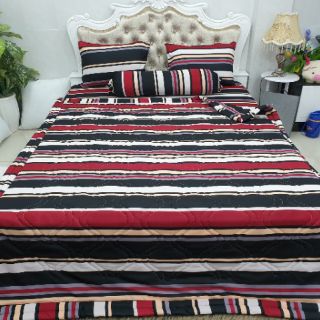Bộ Drap Thun Thái Lan 4 món