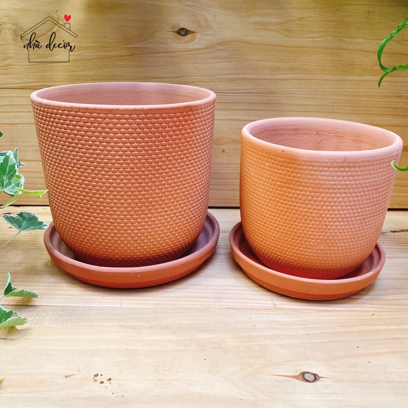 Chậu trồng cây cảnh chậu đất nung vân nổi Nhà Decor có 3 size trồng cây cảnh sen đá xương rồng ship 1h hỏng 1 đổi 1