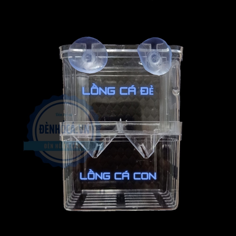 Lồng đẻ cho cá cảnh bằng mica