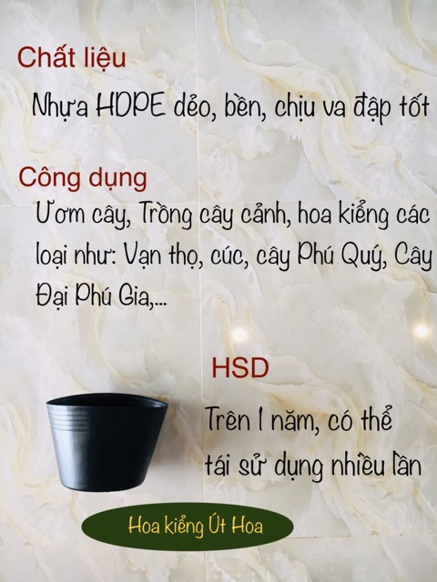 Chậu trồng sen, trồng súng, nuôi cá C12 bít lỗ (loại dày)