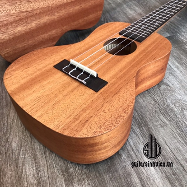 Đàn ukulele concert Size 23 giá rẻ - cao 62cm