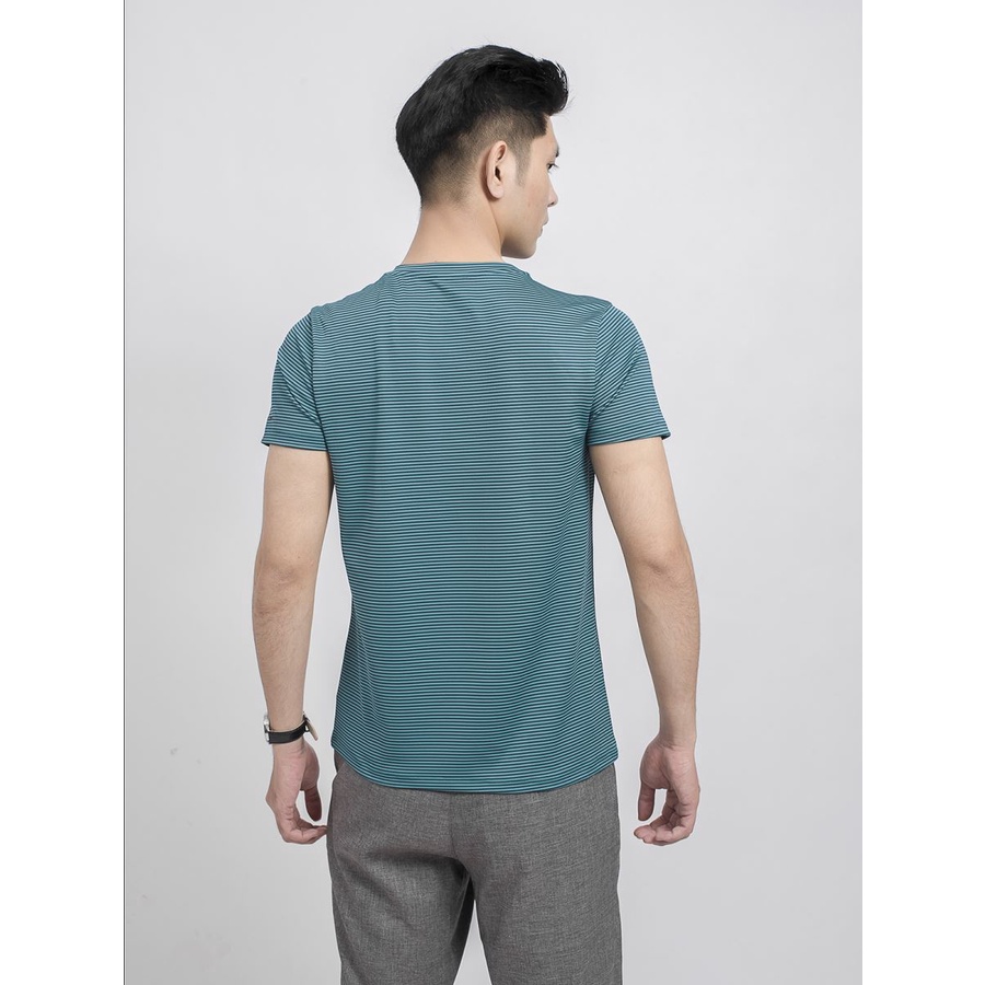 Áo thun T-shirt nam cao cấp Aristino ATS010S9