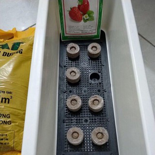 Viên nén ươm hạt