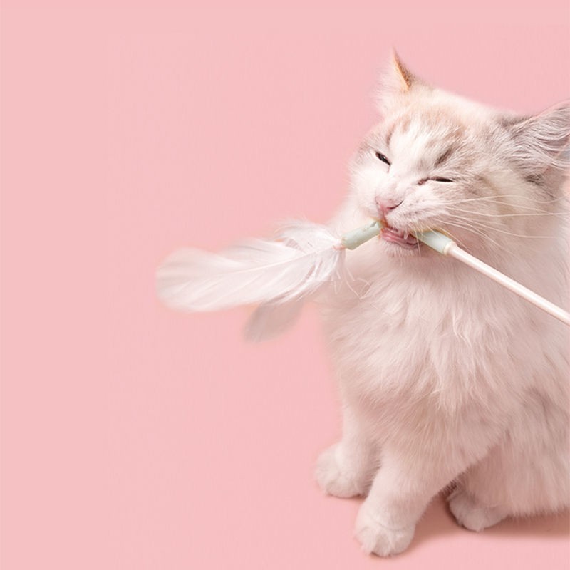 Bộ đồ chơi mèo vui nhộn que dài cực kitty lông có thể thay thế cho thú cưng tự này, cắn -tăng cường và chống nhà