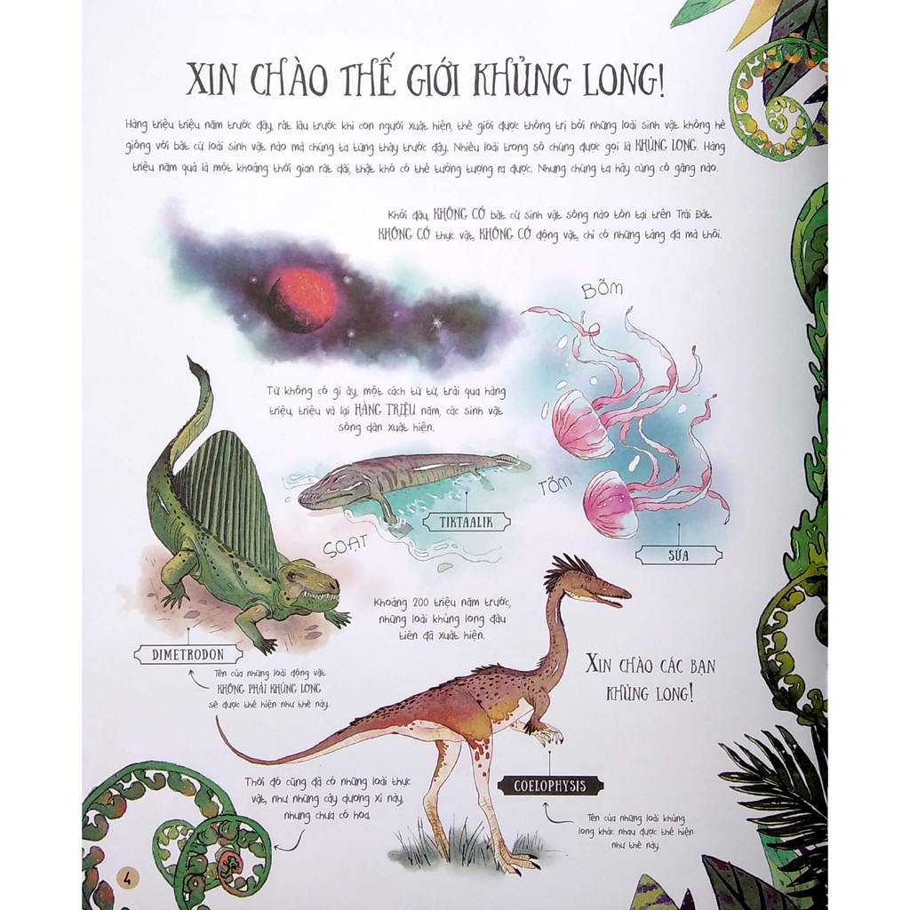 Sách Big Picture Book Dinosaurs Cuốn sách tranh khổng lồ về Khủng Long