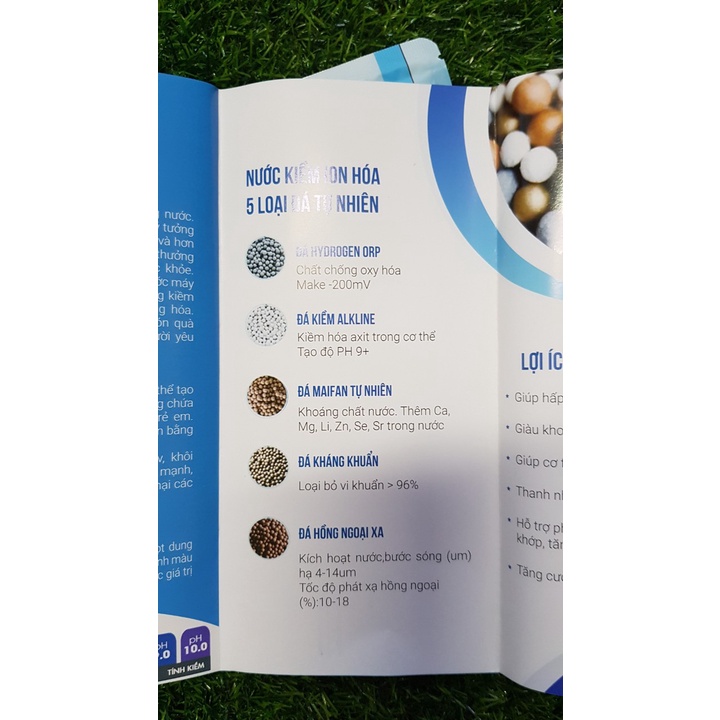 Bình nước tạo Kiềm US Water (tặng túi+đá thay)