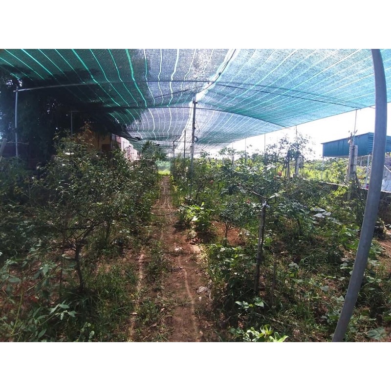 lưới che nắng Thái Việt độ che nắng 60%, khổ rộng 2m,3m,4m độ bền 5 năm