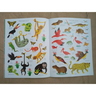 Dính dán - Usborne sticker book - Jungle