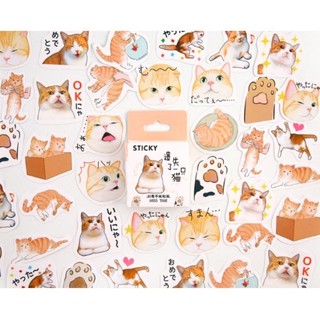 Sticker dán hình cún miu siêu cute
