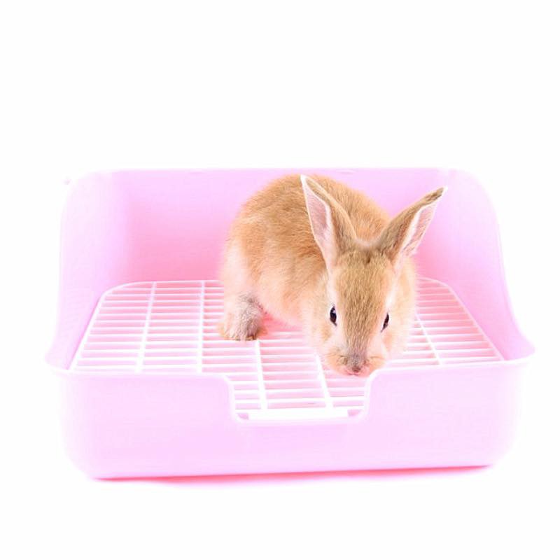 khay vệ sinh chữ nhật dành cho thỏ bọ