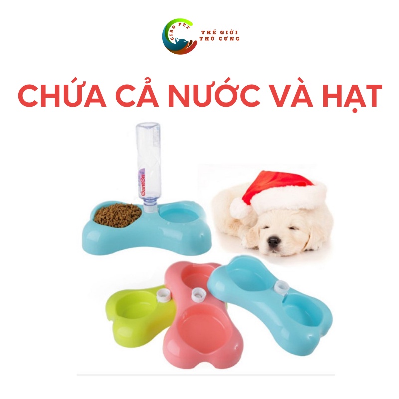Bát ăn cho chó mèo cấp nước tự động - Phụ kiện chó mèo Hà Nội