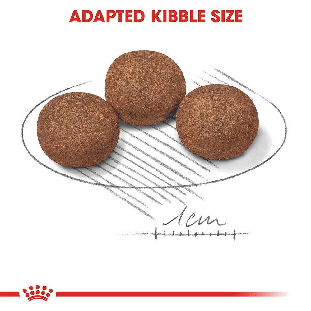 Thức Ăn Hạt Cho Chó Con Size Vừa Royal Canin Medium Puppy