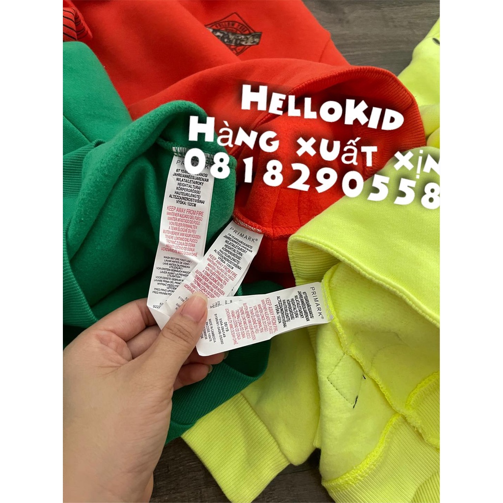 A453 - Áo nỉ hoodie primark bé trai