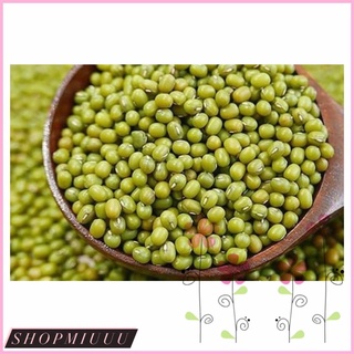 Đậu xanh/ đỗ xanh hạt-500g