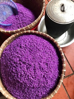 Cây cẩm tím giống