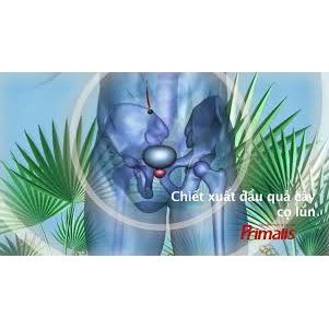 CHÍNH HÃNG ĐỨC PRIMALIS HỘP 30 VIÊN TIEN LIET TUYEN PRIMALIST