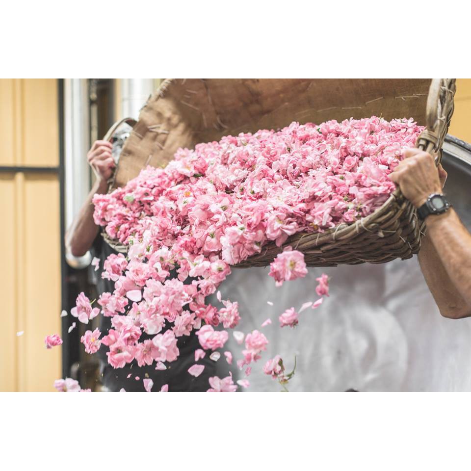 ROSE DE MAI _ FRAGONARD Nước hoa nội địa Pháp 30,50,100ml dạng mẫu thử
