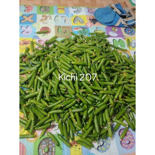 dưa chuột chùm kichi 207
