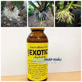 Thuốc kích rễ cực mạnh Thái Lan Exotic 100ml -T64