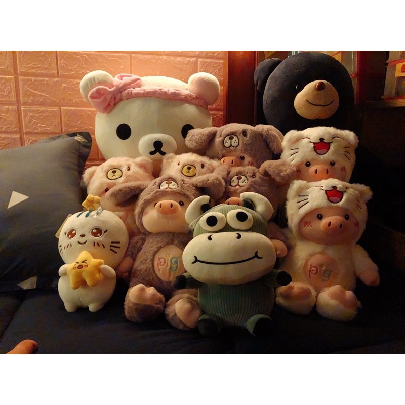 Gấu bông máy gắp gấu