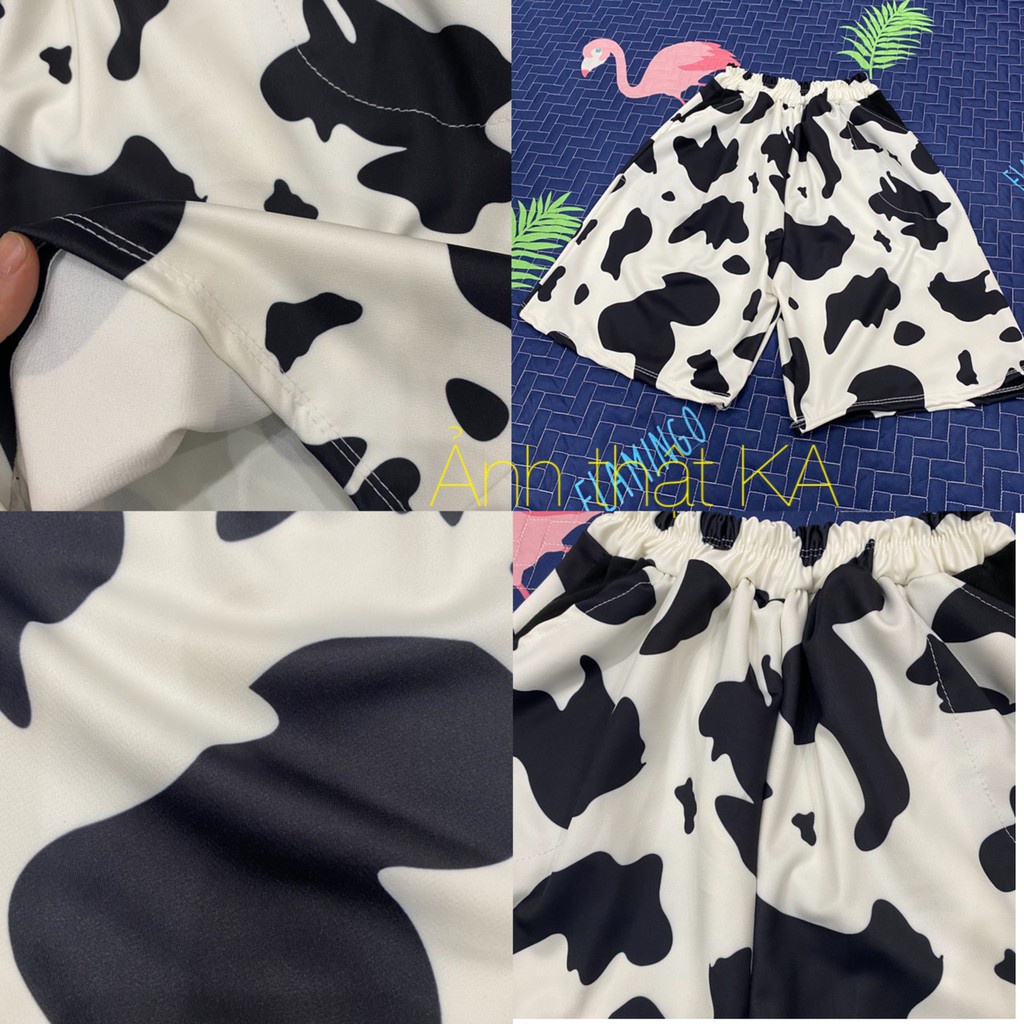 Quần đùi bò sữa RUBY chất LOẠI 1 mát, dầy mịn in 5d không nhòe, quần shorts thể thao mẫu mới