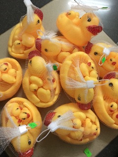Đàn vịt chíp chíp