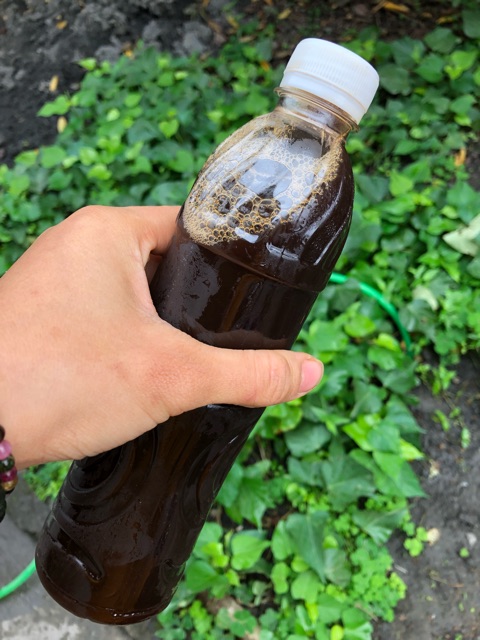 Dầu gội đóng chai thảo dược Huna | BigBuy360 - bigbuy360.vn