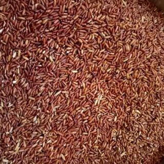 TRÀ GẠO LỨT LẪN ĐỖ ĐEN RANG