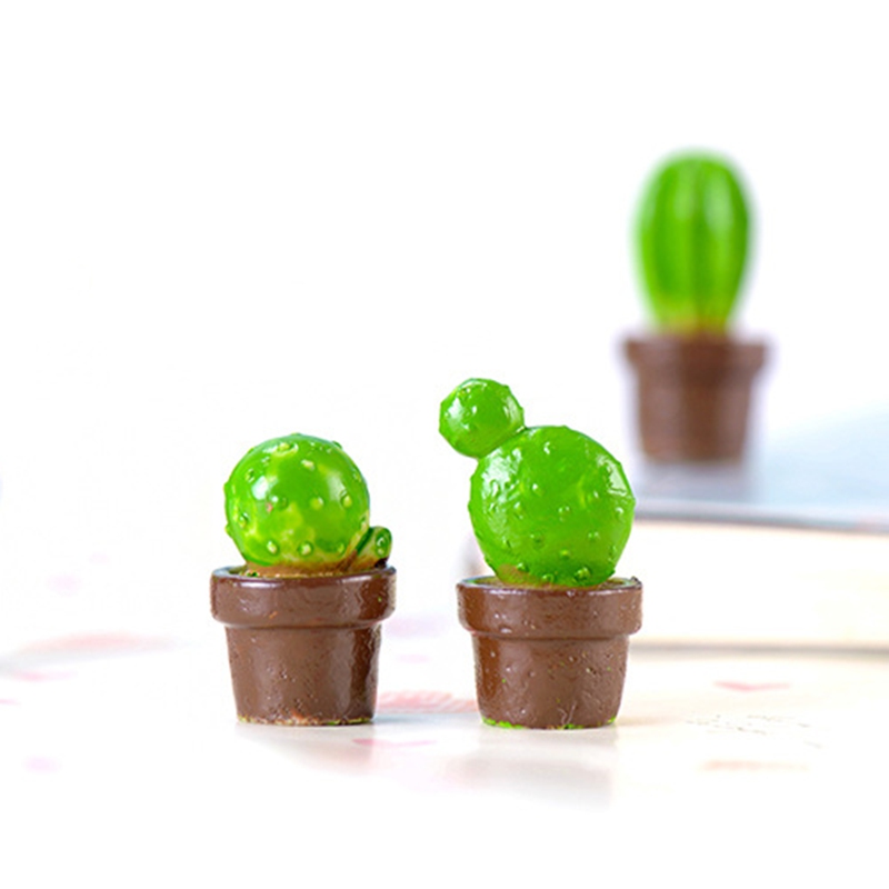 1 Đồ trang trí Cây Xương Rồng Mini Trang Trí Vườn